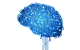 Sayeed Khan - Data Scientist and Developer - Artificial Intelligence and machine learning